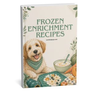 Frozen Recipe Book Cover